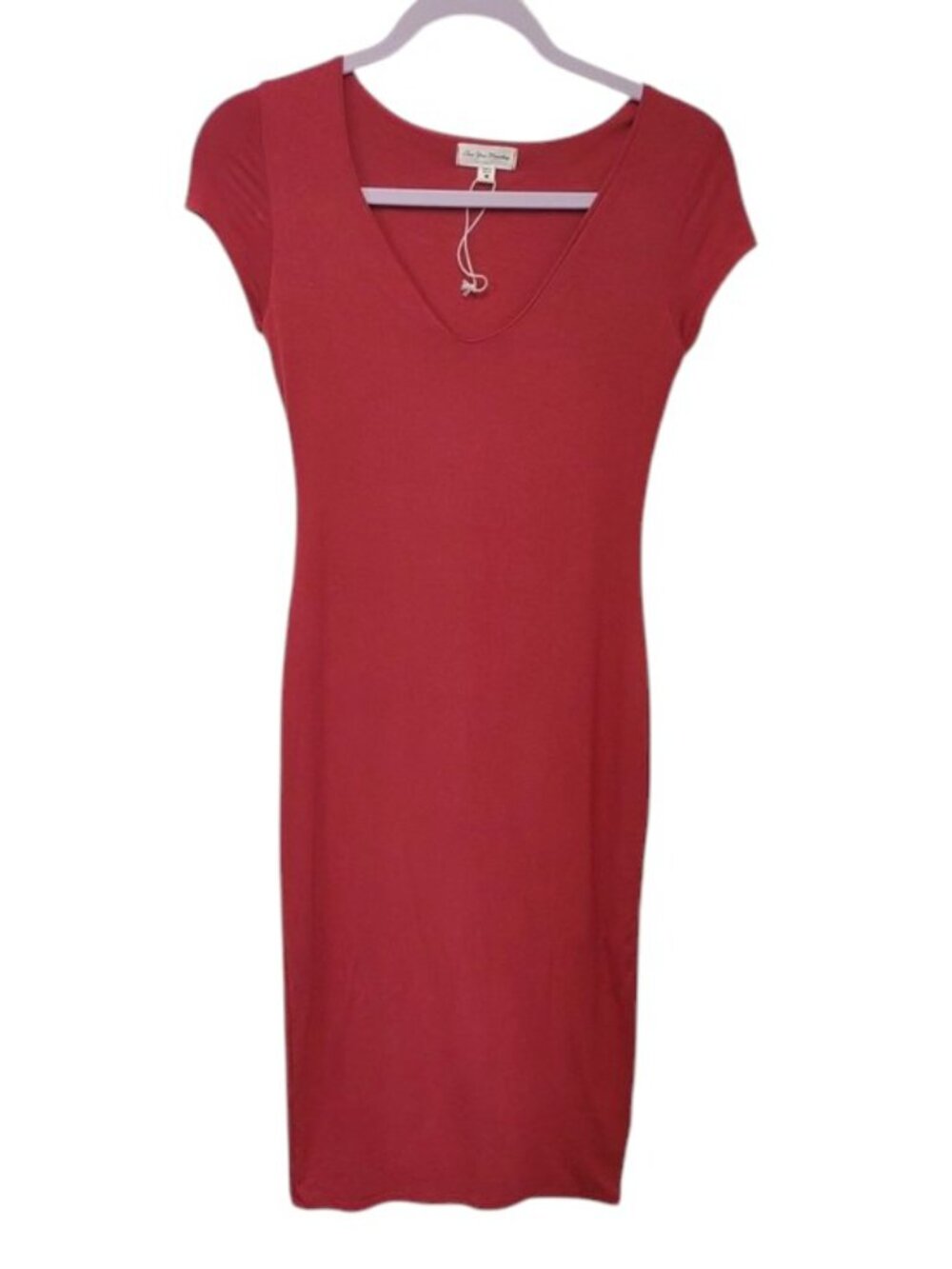 See You Monday Rust Bodycon Midi Soft Stretch V-Neck Short Sleeve Lined Dress